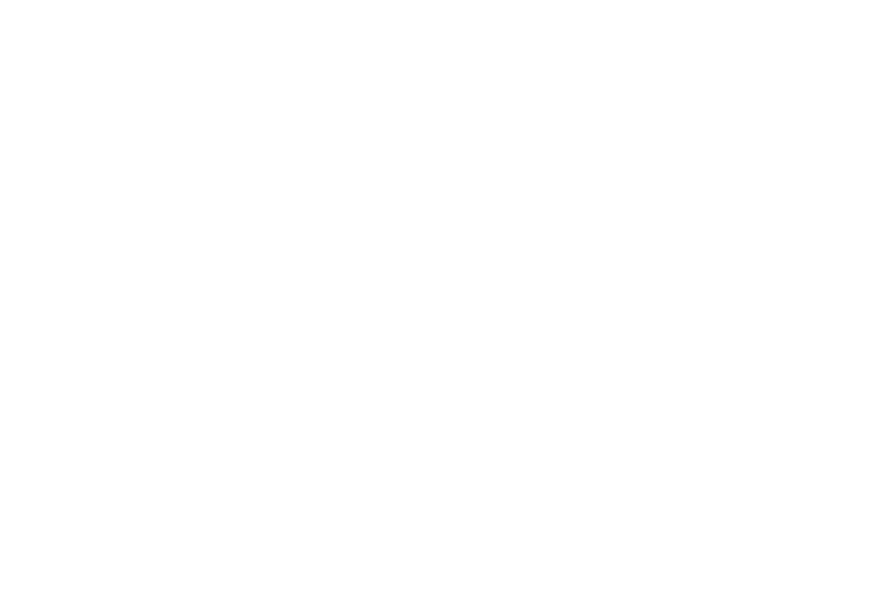 Emerging Lens Film Festival